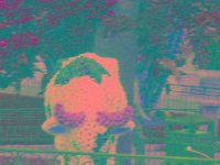 IMGP2879 edited (Medium)